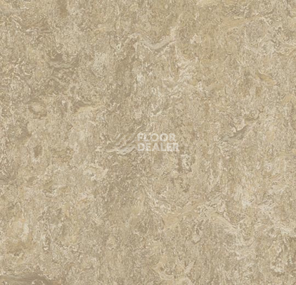 Линолеум Forbo Marmoleum Marbled Real 3234 Forest Ground фото 1 | FLOORDEALER